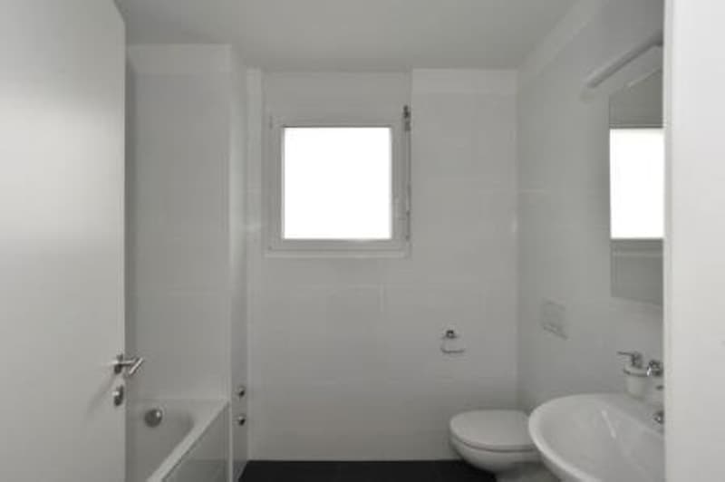 Spacious and bright 3.5-room apartment surrounded by greenery in Locarno (7)