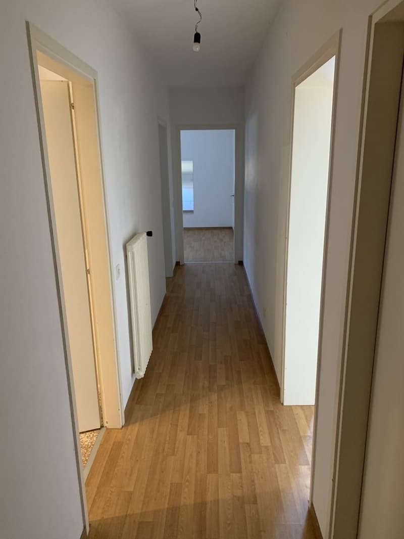 Rental apartment with 3.5 rooms (2)