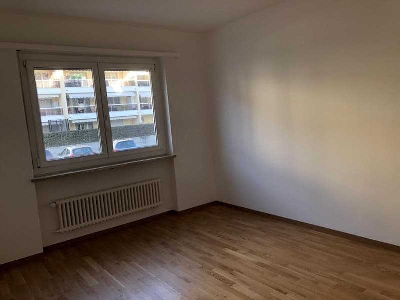 We rent a large and renovated apartment, first month free (4)