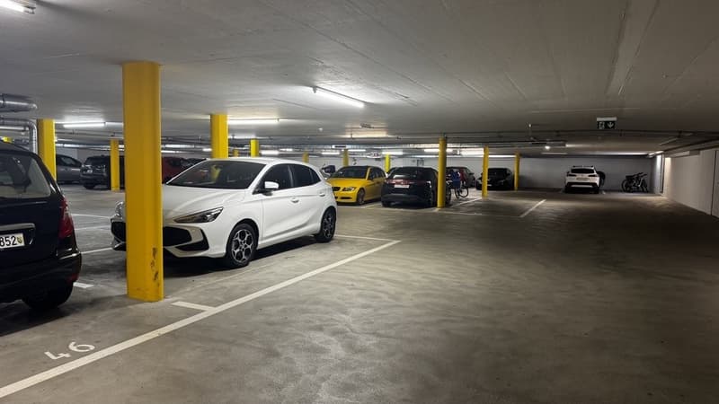 IMG_0802.jpeg