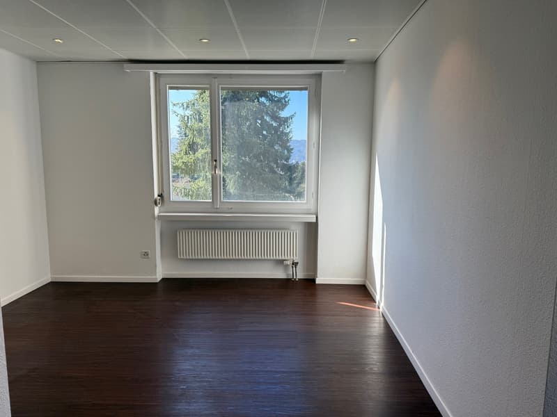 Locali per ufficio / studio in affitto (13)