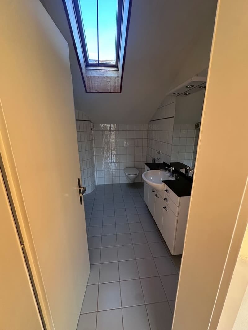 Badzimmer_mit_Dusche.jpg
