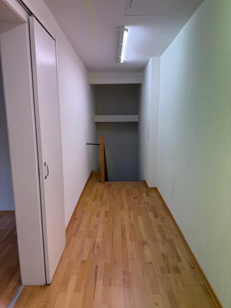 Commercial property in central location (8)
