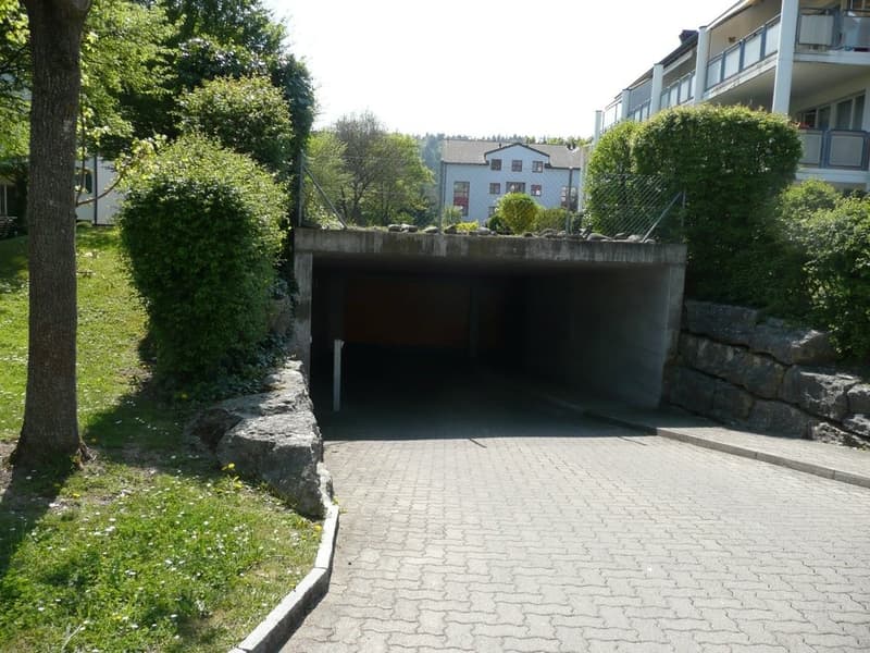 Garageneinfahrt