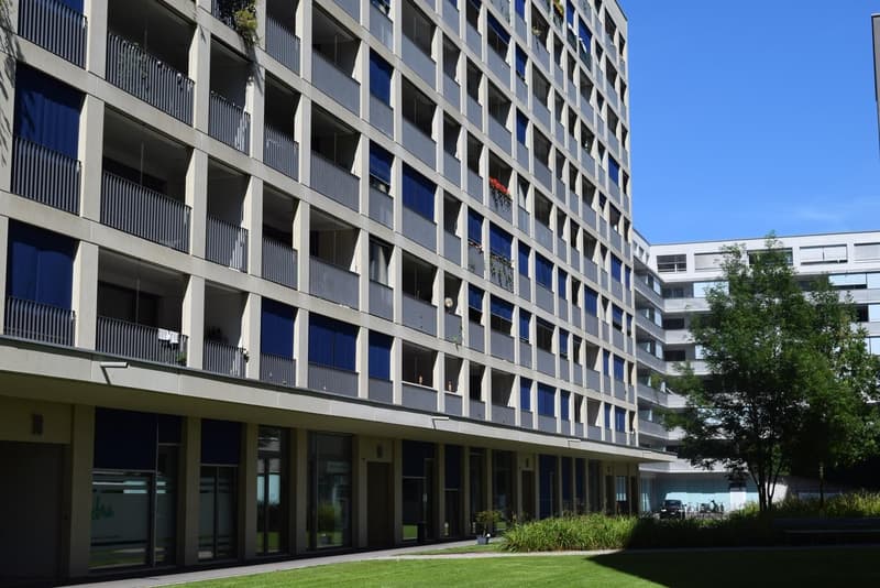 3.5-room apartment in the heart of Oerlikon (2)
