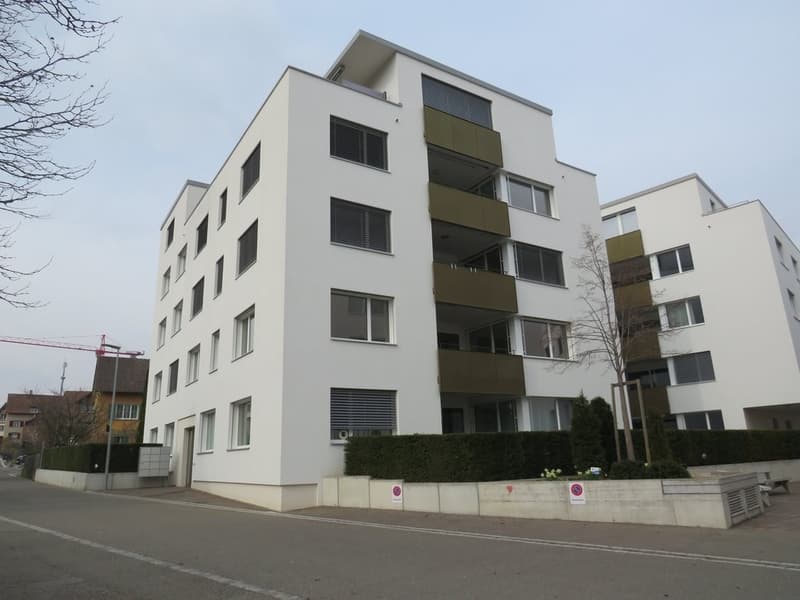 115m² Ladenfläche, 8240 Thayngen (1)