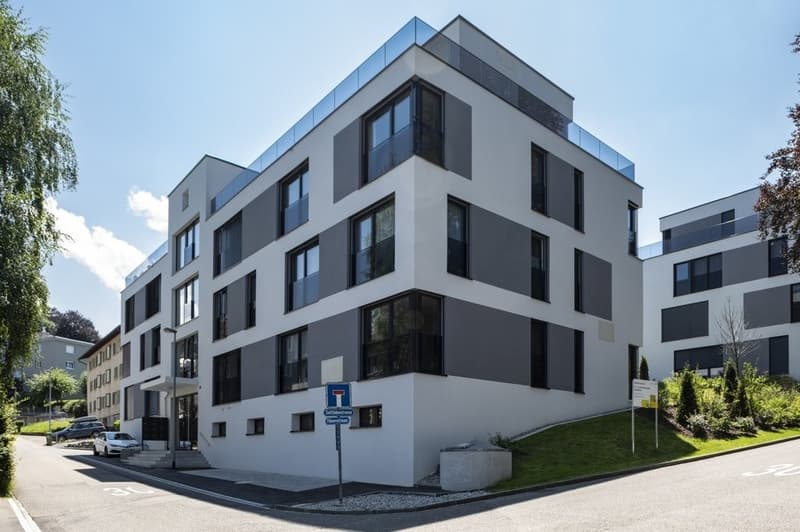 Suchen Sie noch eine Parkmöglichkeit im Gebiet Riethüsli? (1)