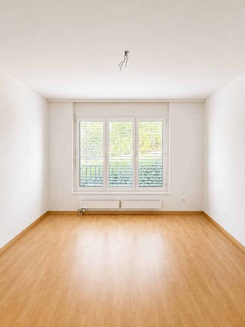 Zimmer_1.png