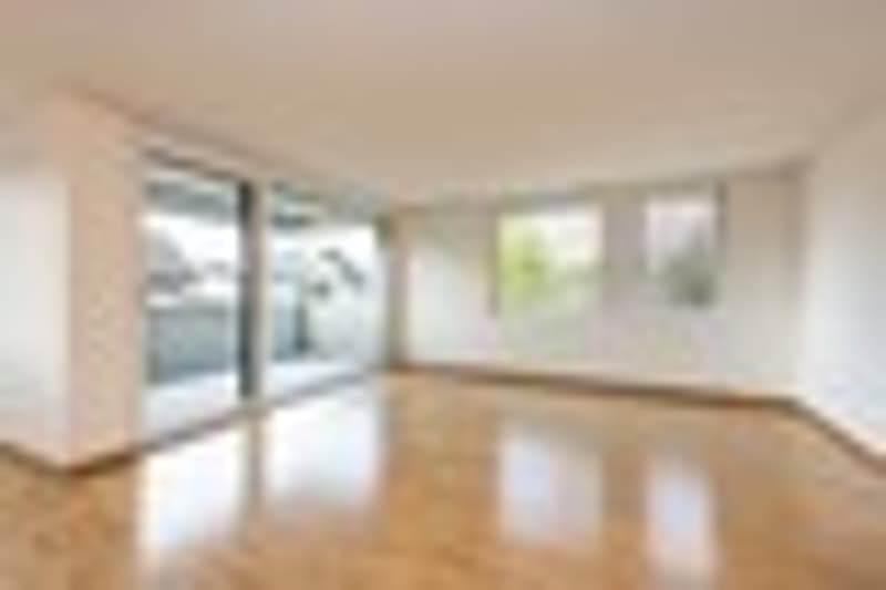 3 ½ Zimmer-Wohnung, 8620 Wetzikon (2)