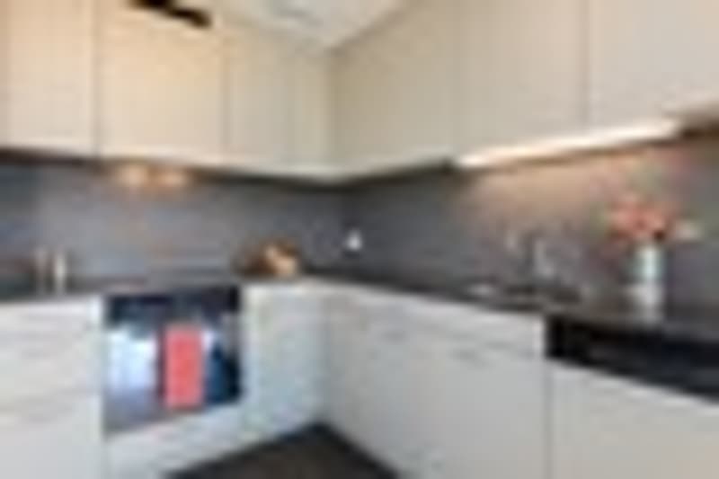 3 ½ Zimmer-Wohnung, 8620 Wetzikon (4)