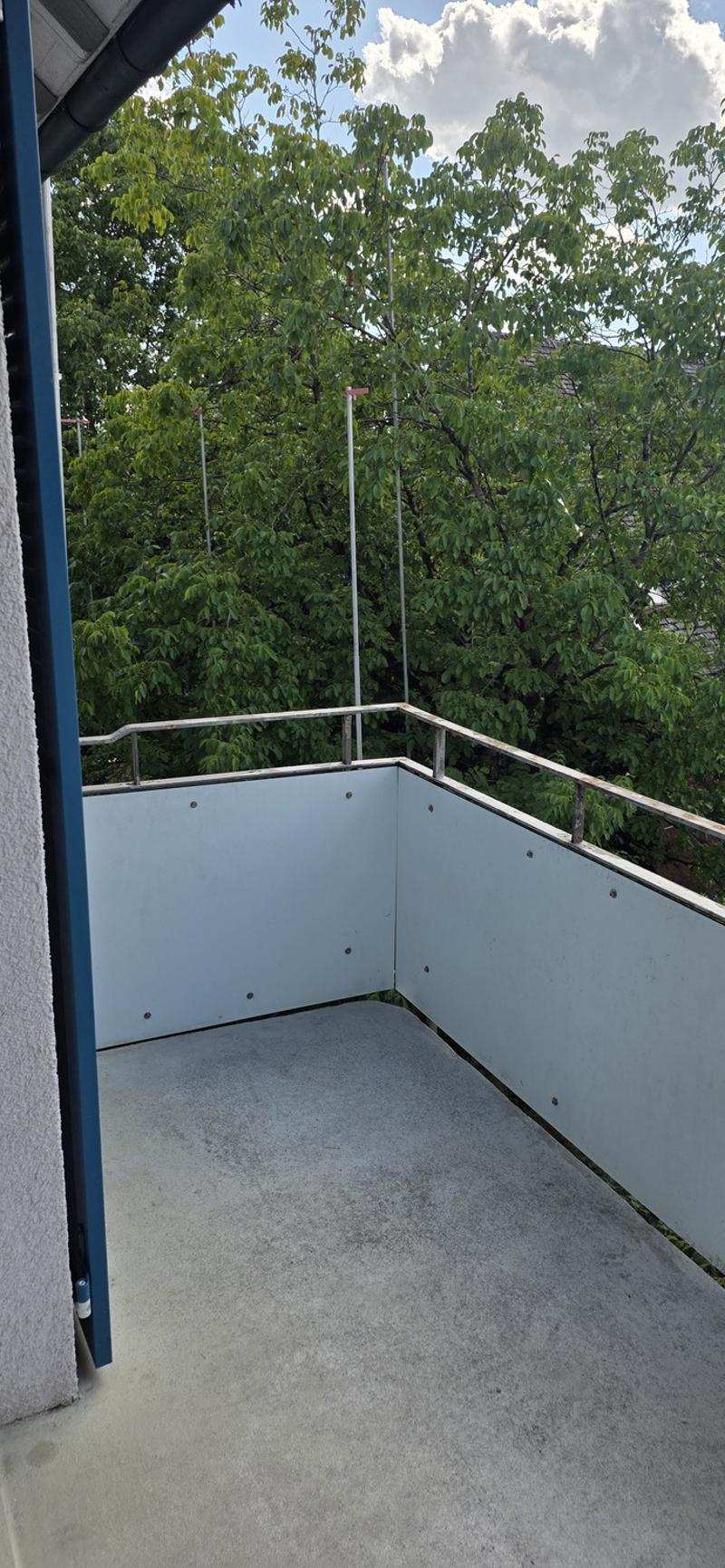 4 Zimmerwohnung EG - befristet bis 30.09.2027 (10)