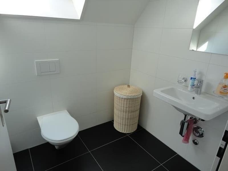 separates WC