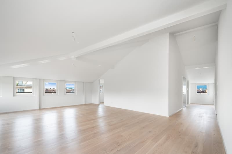 6 ½ Zimmer-Wohnung, 8008 Zürich (8)