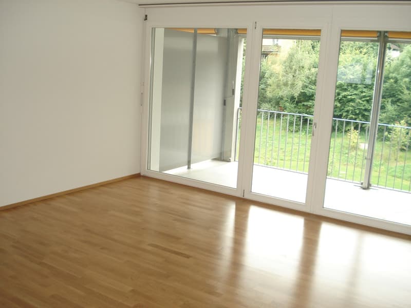 Zentrale Wohnlage in Wetzikon! (10)