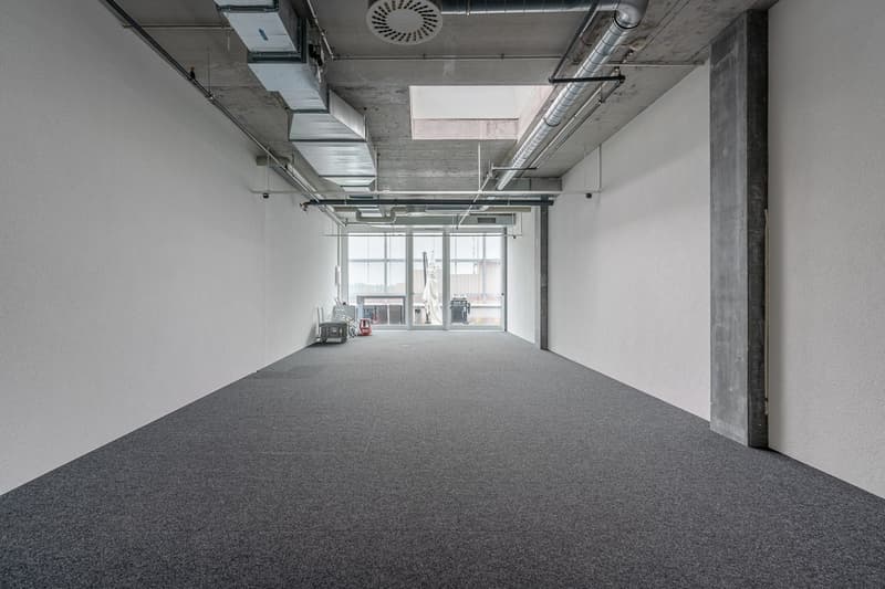Office with private terrace access (2)
