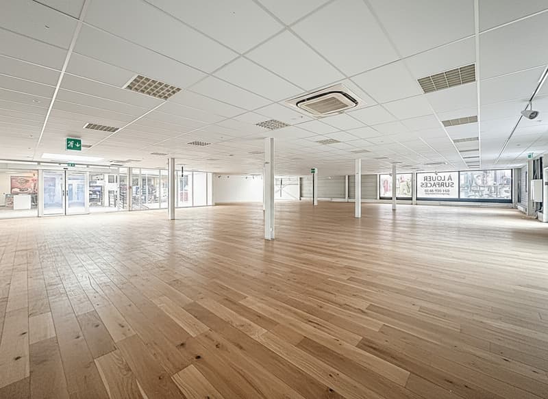 surface modulable de 293 à 1'665 m2 - Roc Centre - Conthey (4)