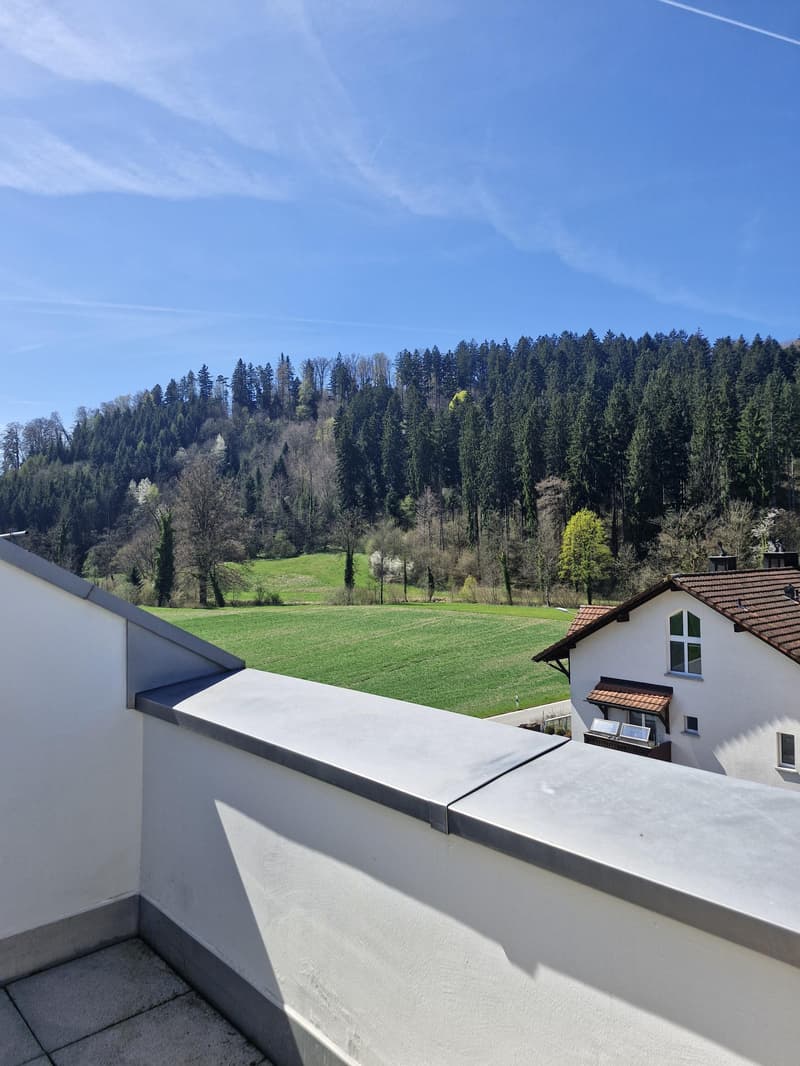 Vie au pied de l'Uetliberg (9)