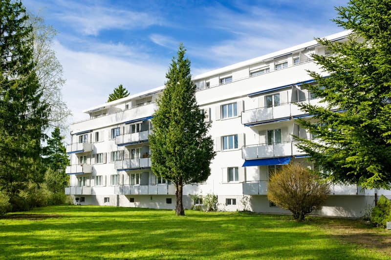 Sanierte und helle 3.0-Zimmer-Wohnung an bestens erschlossener Lage (1)