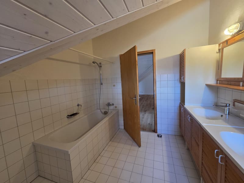 Erstbezug: sanierte und grosszügige 3.5-Zimmer-Dachwohnung (10)