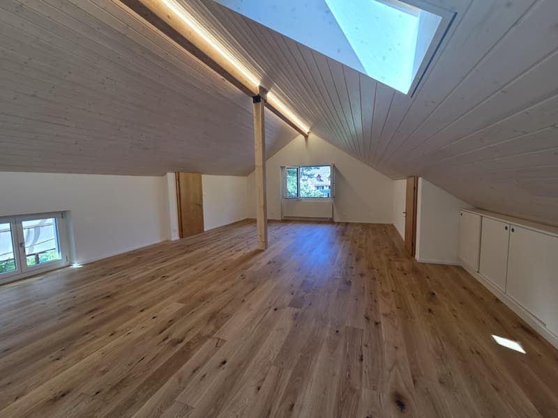 Erstbezug: sanierte und grosszügige 3.5-Zimmer-Dachwohnung (4)