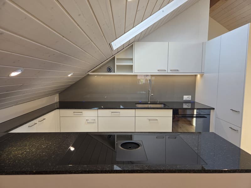 Erstbezug: sanierte und grosszügige 3.5-Zimmer-Dachwohnung (3)