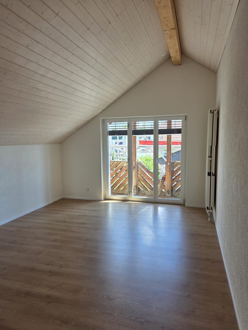 Erstbezug: sanierte und grosszügige 3.5-Zimmer-Dachwohnung (5)