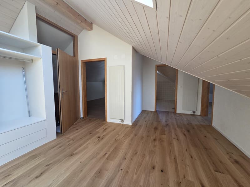 Erstbezug: sanierte und grosszügige 3.5-Zimmer-Dachwohnung (9)