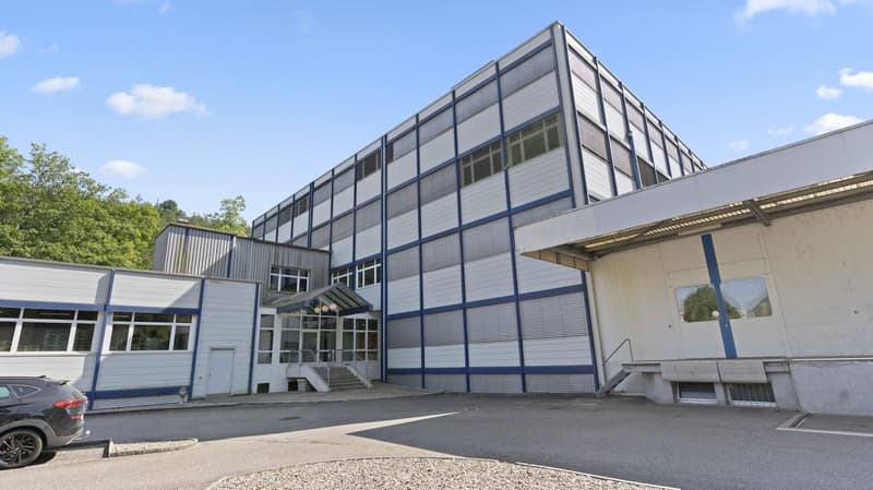 All possibilities for your office in Liestal (5)