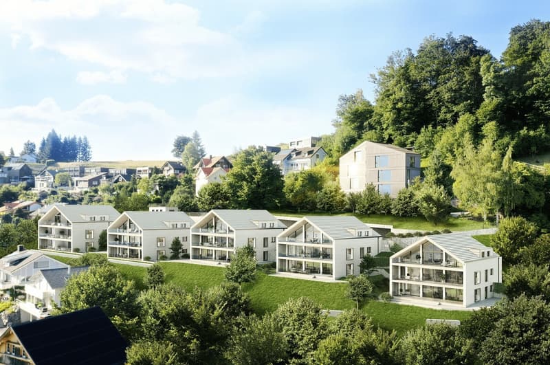 Alpstein Panorama - a home close to nature! (2)