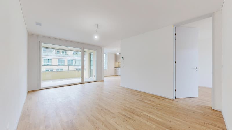 Projekt LOU - Exklusiv wohnen im Herzen von Luzern (3)