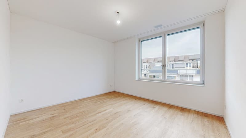 Projekt LOU - Wohlfühloase im lebendigen Tribschenquartier (3)