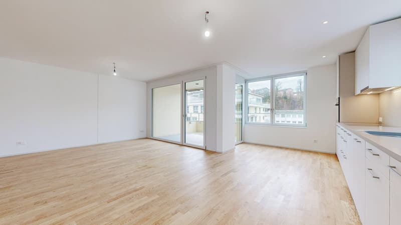 Projekt LOU - Wohlfühloase im lebendigen Tribschenquartier (7)