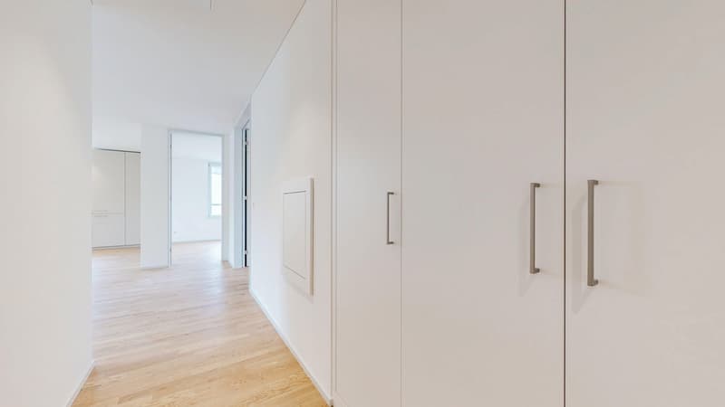 Projekt LOU - Wohlfühloase im lebendigen Tribschenquartier (5)