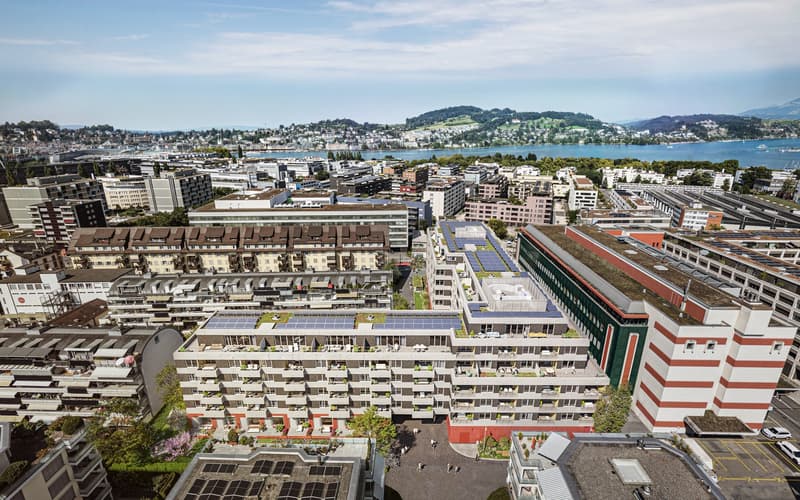 Vivere, che appassiona  LOU Luzern - Disponibile dal 1 luglio 2026 (8)
