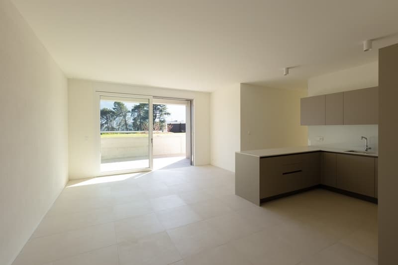 RESIDENZA HEDERA - FIRST RENTAL OF MODERN APARTMENTS IN TENERO-CONTRA (3)