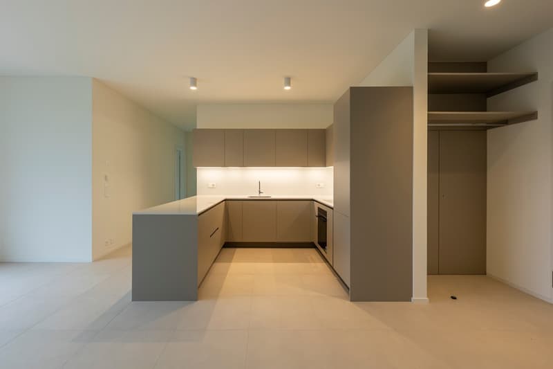 RESIDENZA HEDERA - FIRST RENTAL OF MODERN APARTMENTS IN TENERO-CONTRA (5)