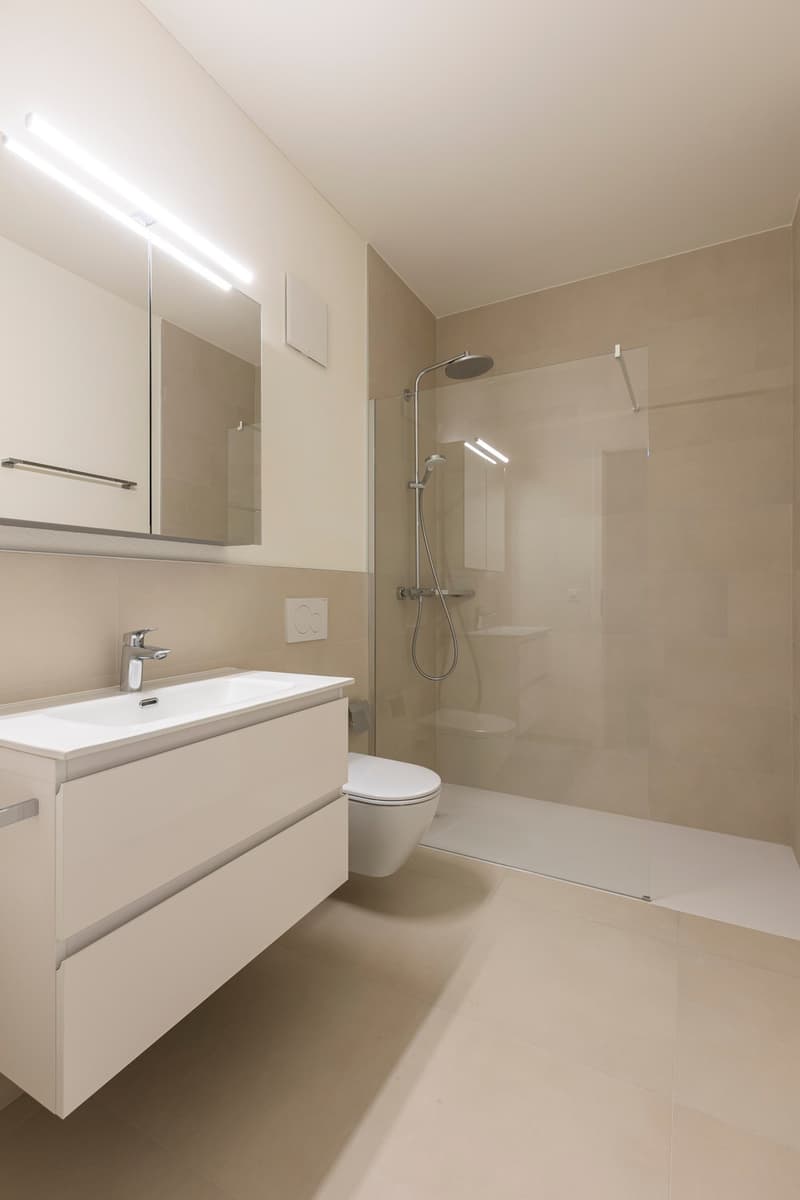 RESIDENZA HEDERA - FIRST RENTAL OF MODERN APARTMENTS IN TENERO-CONTRA (8)