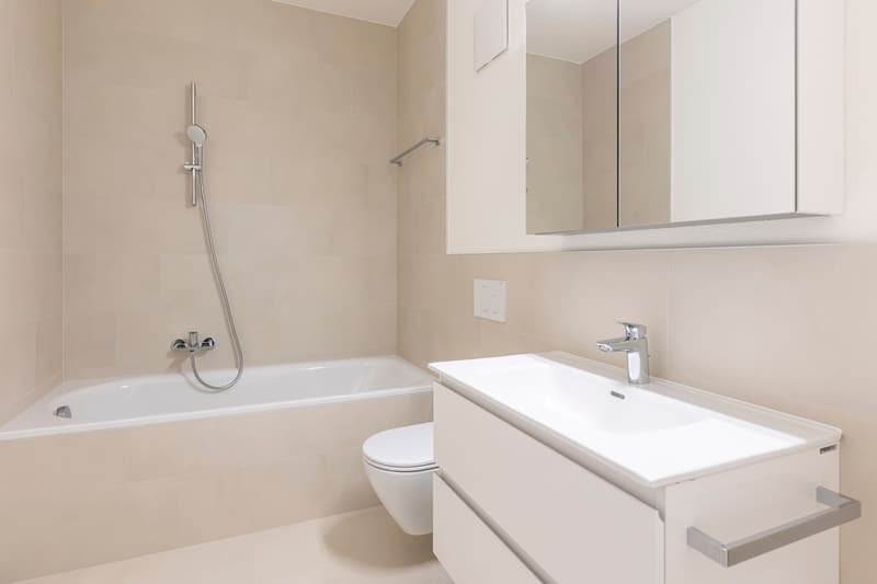 RESIDENZA HEDERA - FIRST RENTAL OF MODERN APARTMENTS IN TENERO-CONTRA (7)