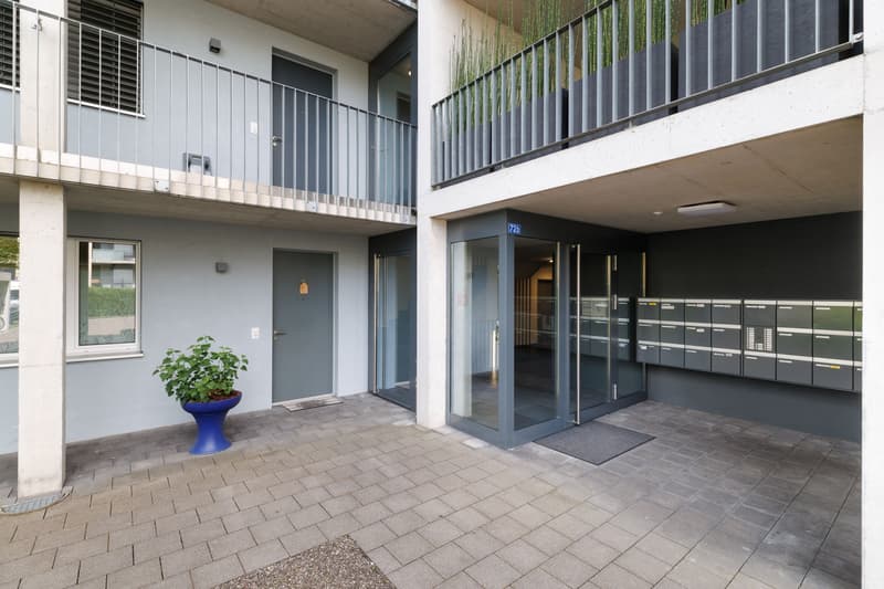 Happiness at first sight - ownership in Kreuzlingen (2)