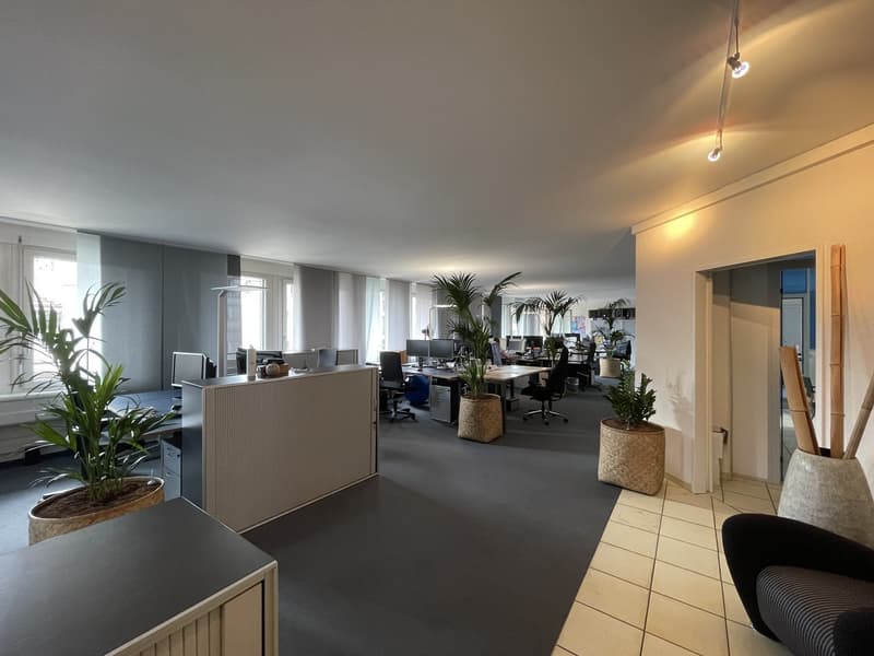 *2 months rent-free* The perfect start or transition solution for your business (1)