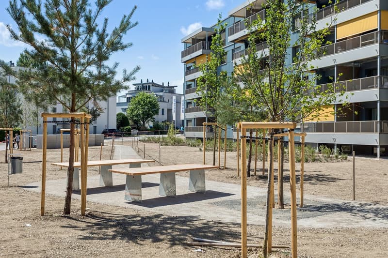 Ruhig, modern, nah bei Bern 3.5-Zimmer zum Wohlfühlen (2)