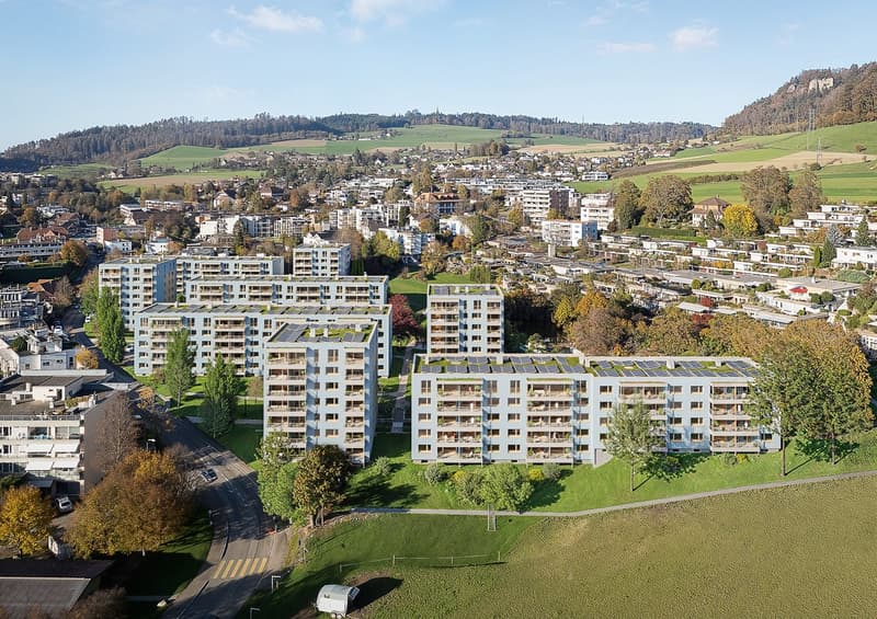 Mehr als vier Wände - Gemütliche 2.5 Zimmerwohnung für Singles & Paare jeden Alters (1)