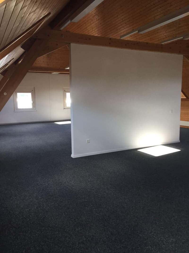 Travailler avec une atmosphère industrielle à Villmergen (11)