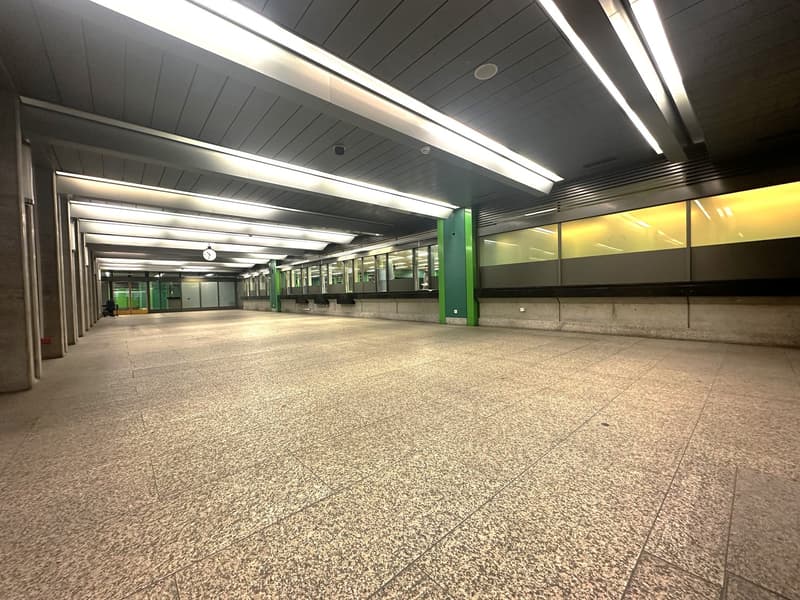 Spazio commerciale attraente direttamente alla stazione di Basel SBB (2)