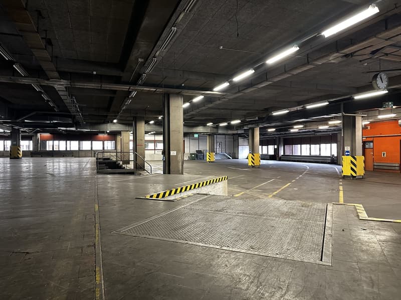 La tua attività direttamente alla stazione di Basel SBB (3)