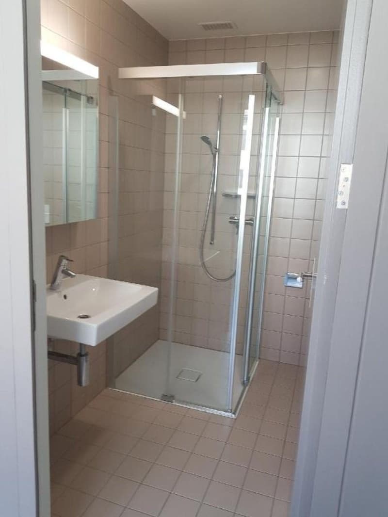 Beautiful 2-room apartment on the 2nd floor for rent in Le Locle, ideally located (6)