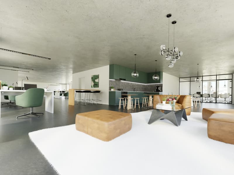 Ihre neues Büro - mitten in Oerlikon (1)