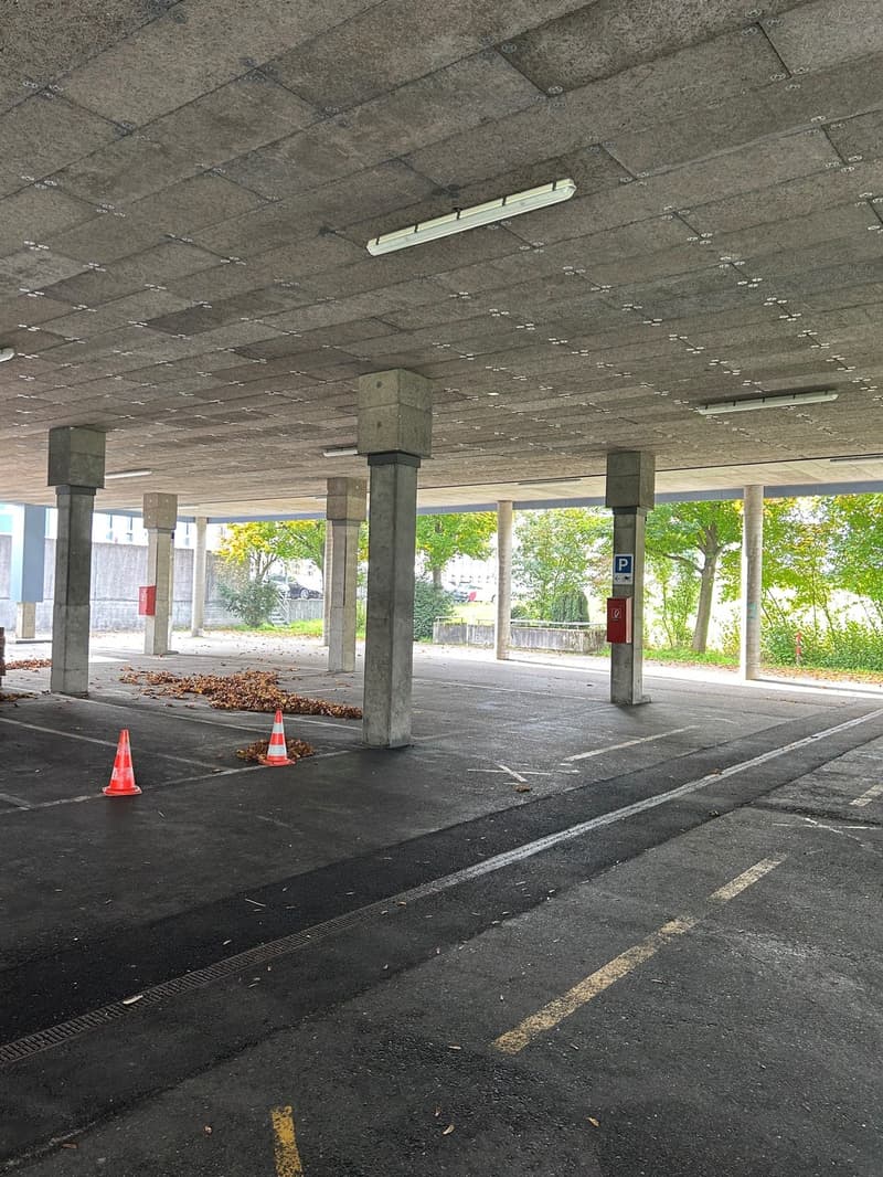 Parcheggi in città in affitto! (4)