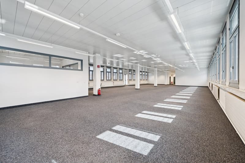 In affitto - Locali amministrativi di 361 m² (3)