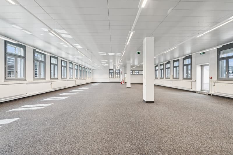 In affitto - Locali amministrativi di 361 m² (2)